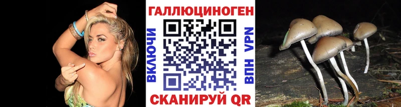 где можно купить наркотик  Арамиль  даркнет какой сайт  Галлюциногенные грибы мицелий 